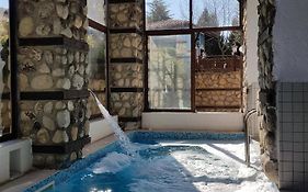 Hotel Tanne